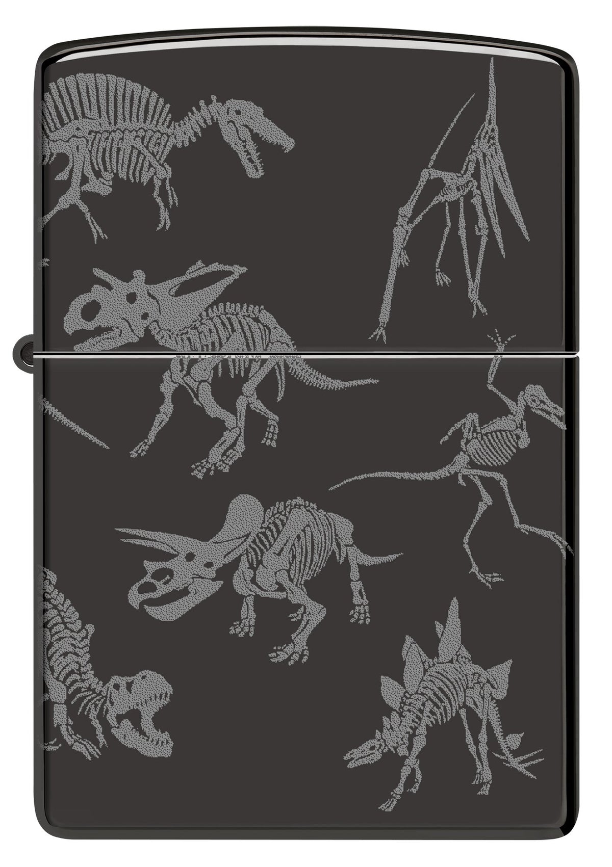 Dinosaur Skeletons Design